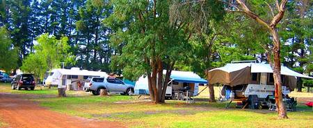 Fontys Pool Caravan Park - Darwin Holiday 1