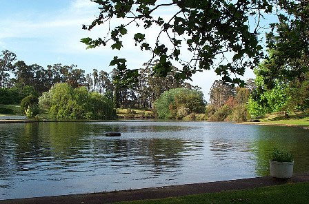 Fontys Pool Caravan Park - Darwin Holiday 3