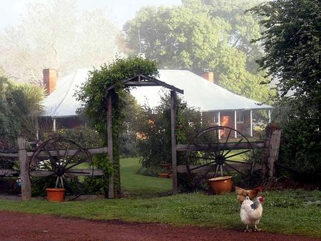 Clover Cottage Country Retreat - Darwin Holiday 4