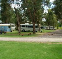 Harvey Rainbow Caravan Park - Darwin Holiday