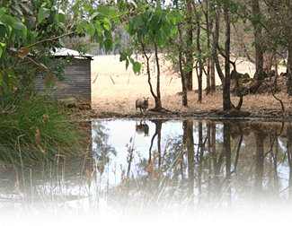 Cambray Cottages - Darwin Holiday 3