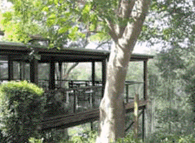 Watagan Lodge - Darwin Holiday 5