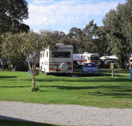 Pinjarra Caravan Park - Darwin Holiday