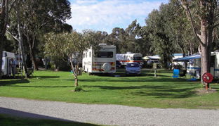 Pinjarra Caravan Park - Darwin Holiday 0