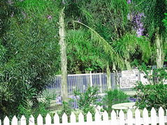 Pinjarra Caravan Park - Darwin Holiday 3
