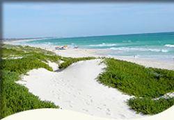 Trigg Retreat Bed And Breakfast - Darwin Holiday 5