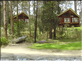 Bewong River Retreat - Darwin Holiday 4