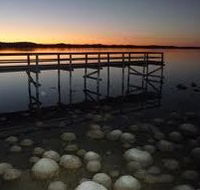 Lake Clifton Caravan Park - Darwin Holiday