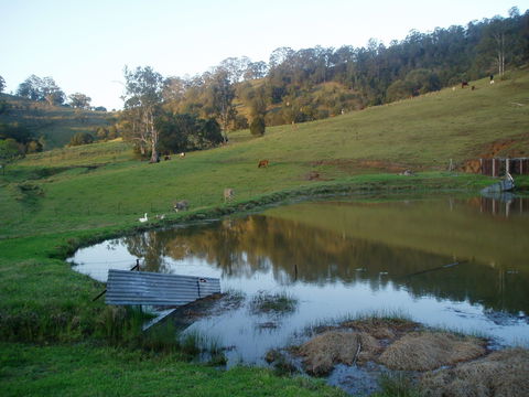 Barkeldine Farm Country Retreat - Darwin Holiday 0