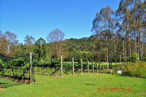 Barney Creek Vineyard Cottages - Darwin Holiday 1