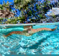 BIG4 Ballina Headlands Holiday Park - Darwin Holiday