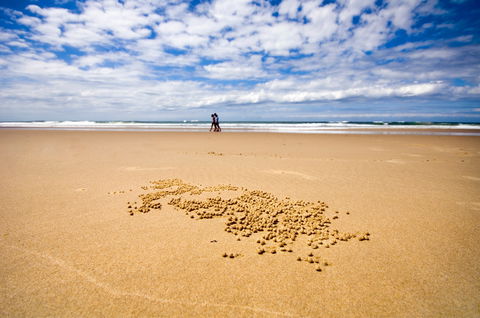 BIG4 Nambucca Beach Holiday Park - Darwin Holiday 1