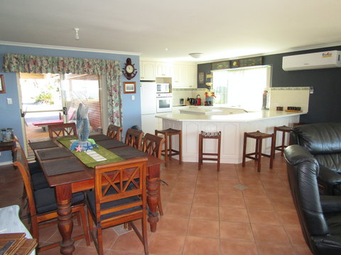 Blue Sea Dragon - Darwin Holiday 1