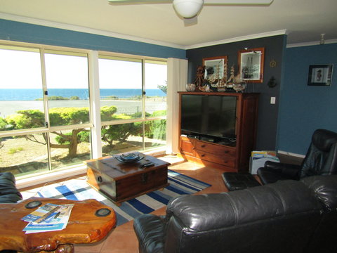 Blue Sea Dragon - Darwin Holiday 2