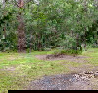 Blue Gum Flat campground