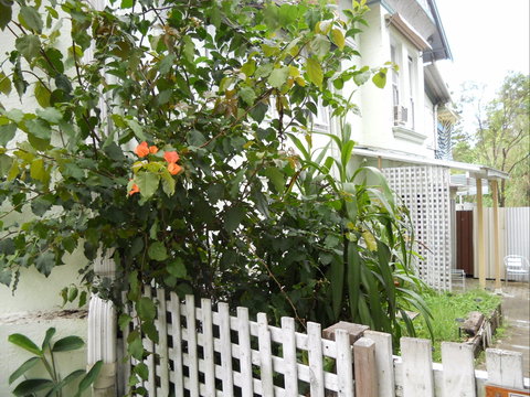 Chatswood Inn - Darwin Holiday 1