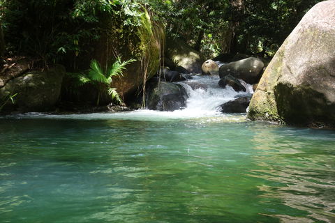 Daintree Secrets Rainforest Sanctuary - Darwin Holiday 0