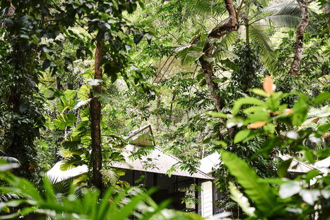 Daintree Ecolodge - Darwin Holiday 0
