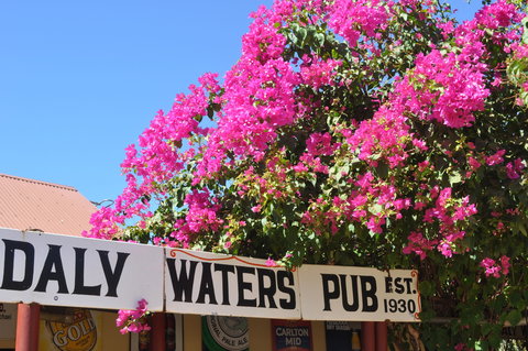 Daly Waters Historic Pub - Darwin Holiday 0