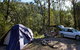 Deua River Campgrounds - thumb 1