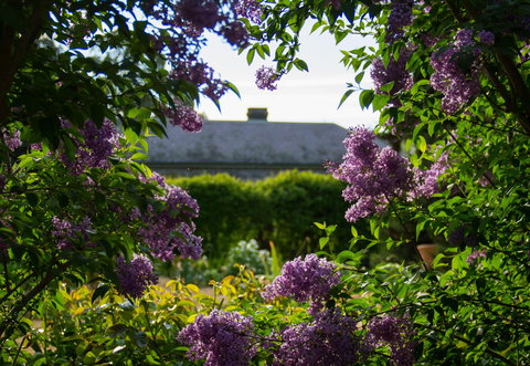 Eurambeen Historic Homestead And Gardens - Darwin Holiday 1