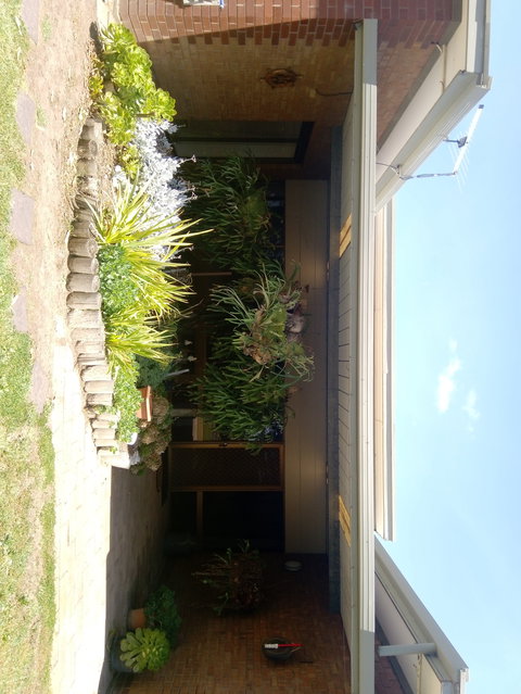 Hilltop Escape B&B - Darwin Holiday 0