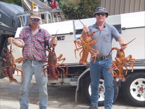 Island View Retreat - Darwin Holiday 2