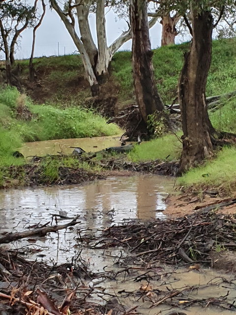 Keswick Cottage - Darwin Holiday 2