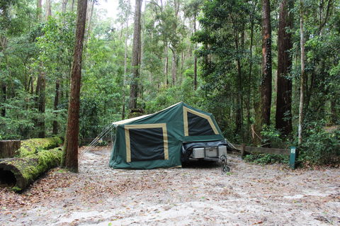 K'gari (Fraser Island) Camping, Great Sandy National Park - Darwin Holiday 2