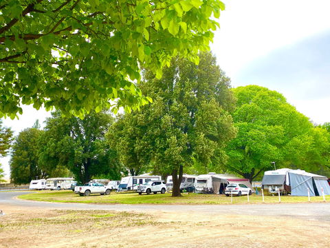 Molong Caravan Park - Darwin Holiday 1
