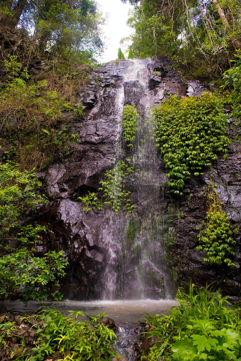 Nimbin Waterfall Retreat - Darwin Holiday 0