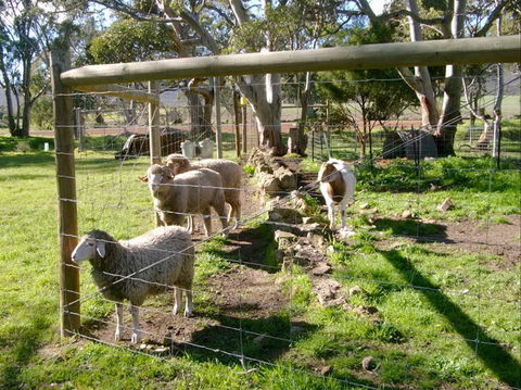 Nyroca Campsite & Group Accommodation - Darwin Holiday 2