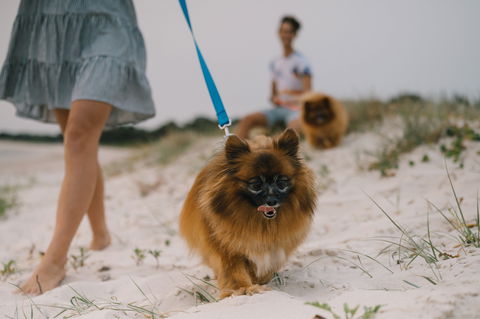 Reflections Holiday Parks Mylestom - Darwin Holiday 1