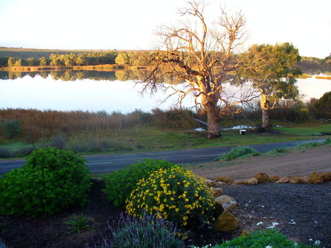 Sangria - Darwin Holiday 0