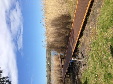 Sangria - Darwin Holiday 2