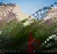 Sandstone Park Carnarvon Gorge - Darwin Holiday