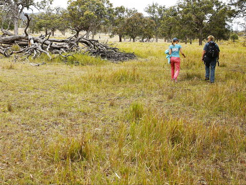 Sundown National Park Camping - Darwin Holiday 2