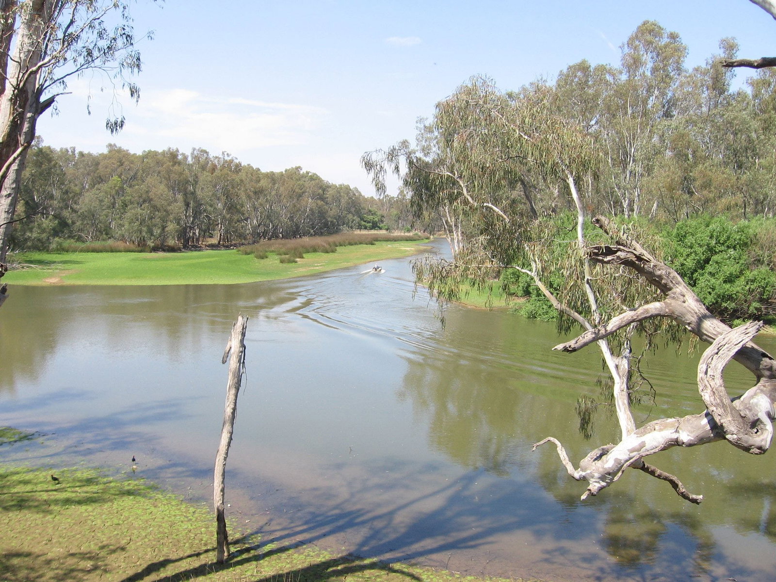 Collendina NSW Darwin Holiday
