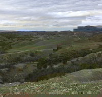 Three Creeks - Darwin Holiday