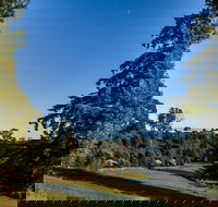 Tin Dragon Trail Cottages