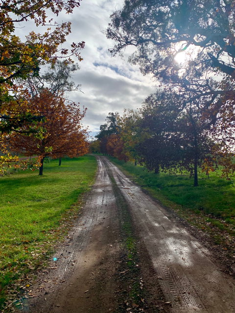 Traquair - Darwin Holiday 2