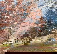 Tumbarumba Caravan Park - Darwin Holiday