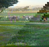 Wallinga Studio Farmstay - Darwin Holiday