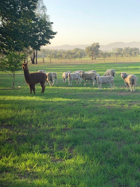 Wallinga Studio Farmstay - Darwin Holiday 0