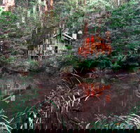 Woodlands Rainforest Retreat