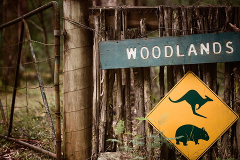 Woodlands Rainforest Retreat - Darwin Holiday 1