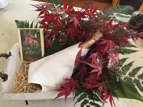 Woodlands Rainforest Retreat - Darwin Holiday 2