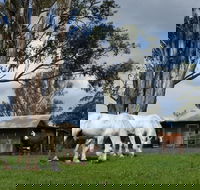 Woodenbong B and B - Darwin Holiday