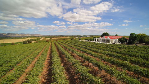 1837 Barossa Luxury Vineyard Cottages - Darwin Holiday 0