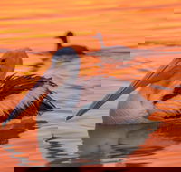 4 Pelican Court - River Shack Rentals - Darwin Holiday